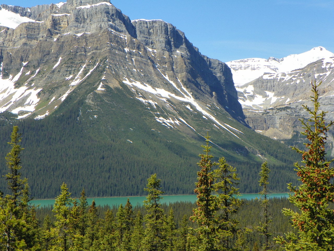 majestic rocky mountains