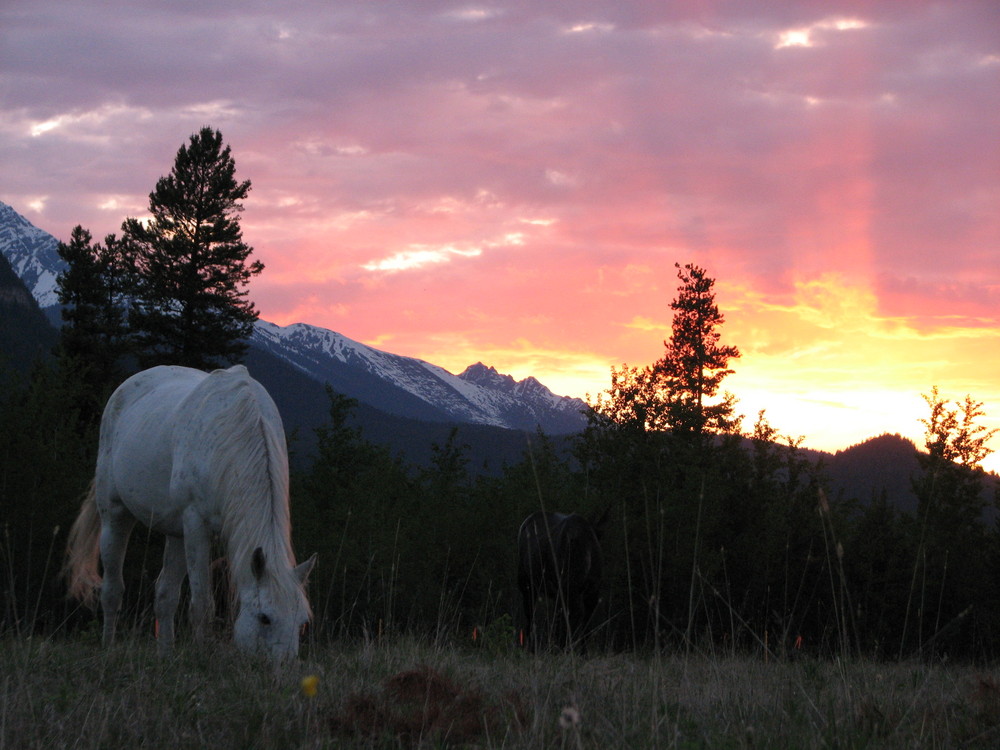 Majestic Sundown