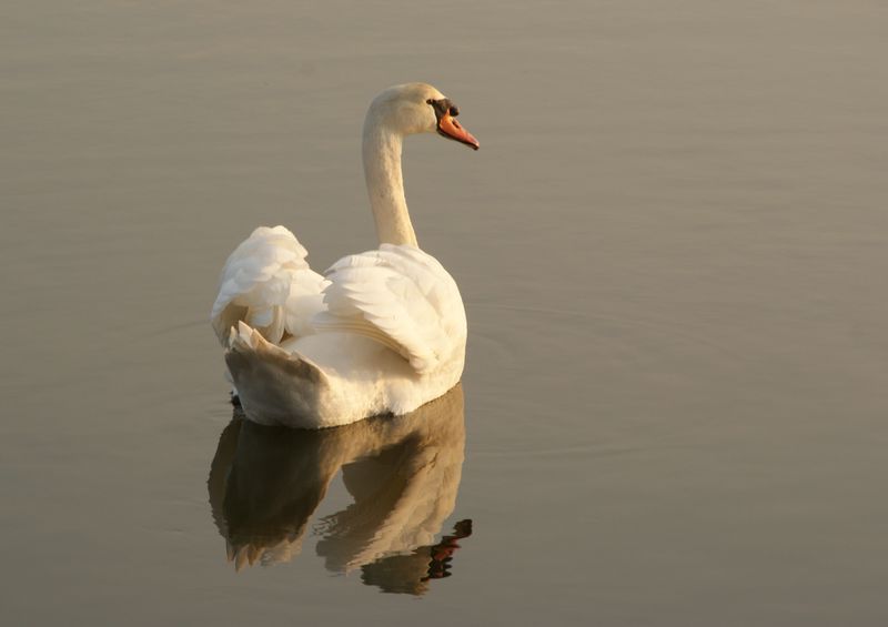 Majestueux et débordant de sérénité.