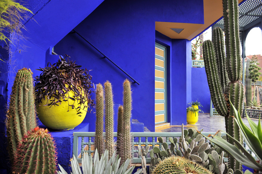 Majorelle