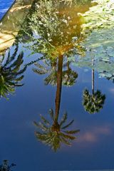 Majorelle-Blau