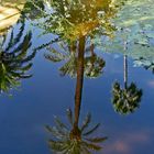 Majorelle-Blau