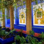 Majorelle Blau