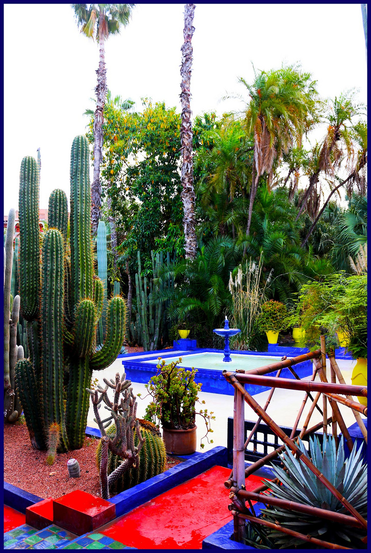 MajorelleGarten Foto &amp; Bild africa, morocco, north
