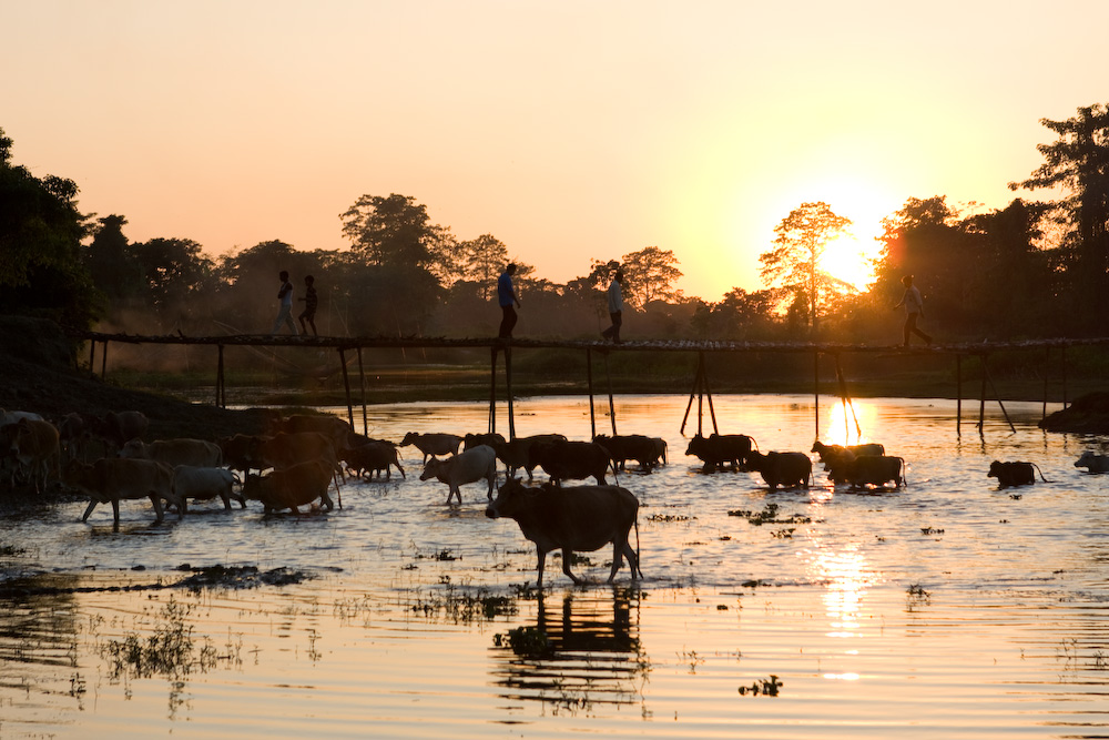 Majuli Island