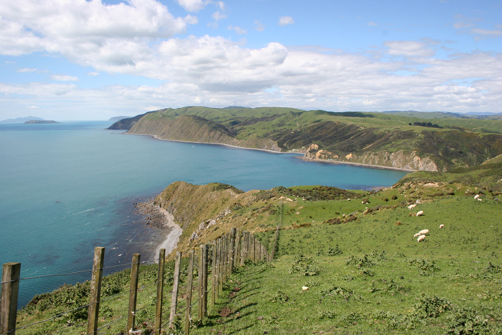 Makara Peak Walkway