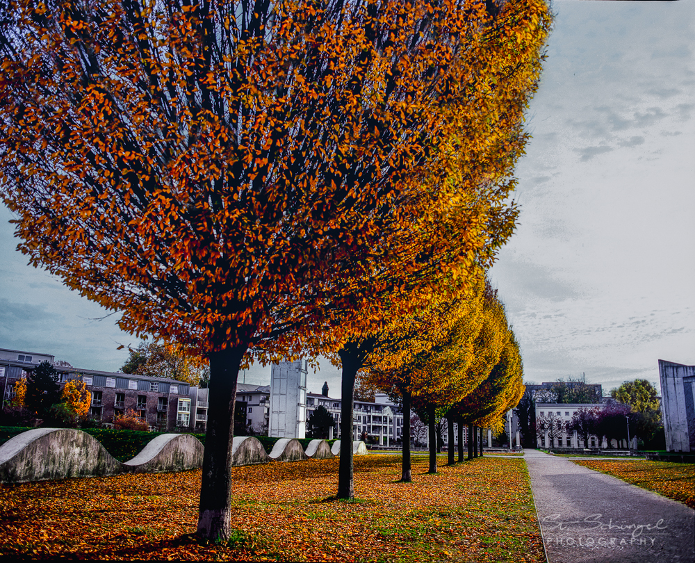 Make it Herbst - Film39 Bild6