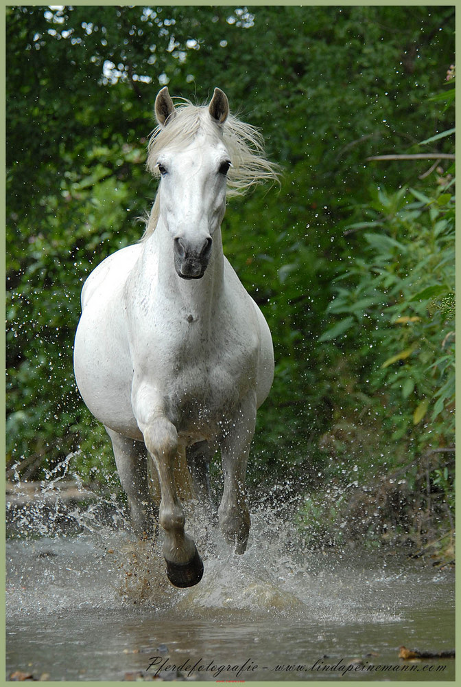 Make way - I´m coming...................