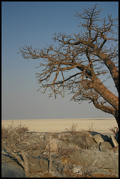 Makgadikgadi Pan