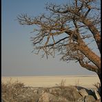 Makgadikgadi Pan