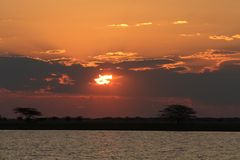 Makgadikgadi Salzpfannen (4)