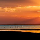 Makgadikgadi Salzpfannen Botswana