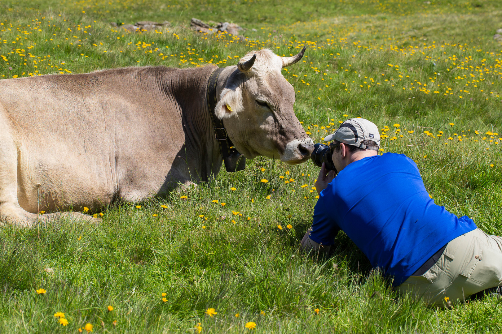 Making of Brennweite 18 mm Kuhfoto...