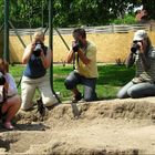 Making of - Katzenbabys unter Beschuss