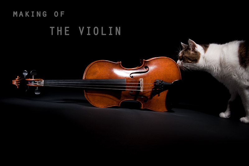 [making of] the violin