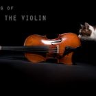 [making of] the violin