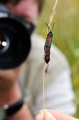 Making Of - Verliebte Widderchen