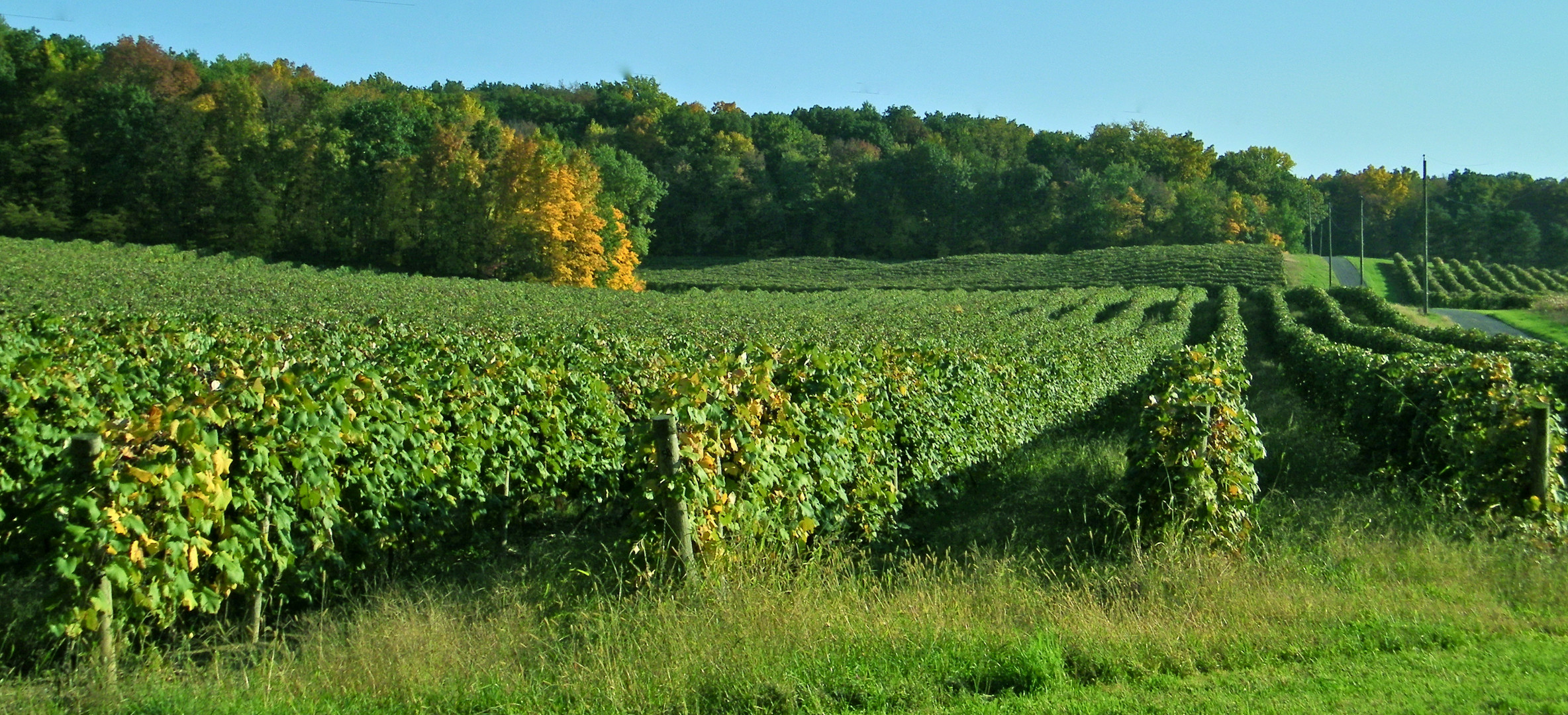 Makins of a good Harvest