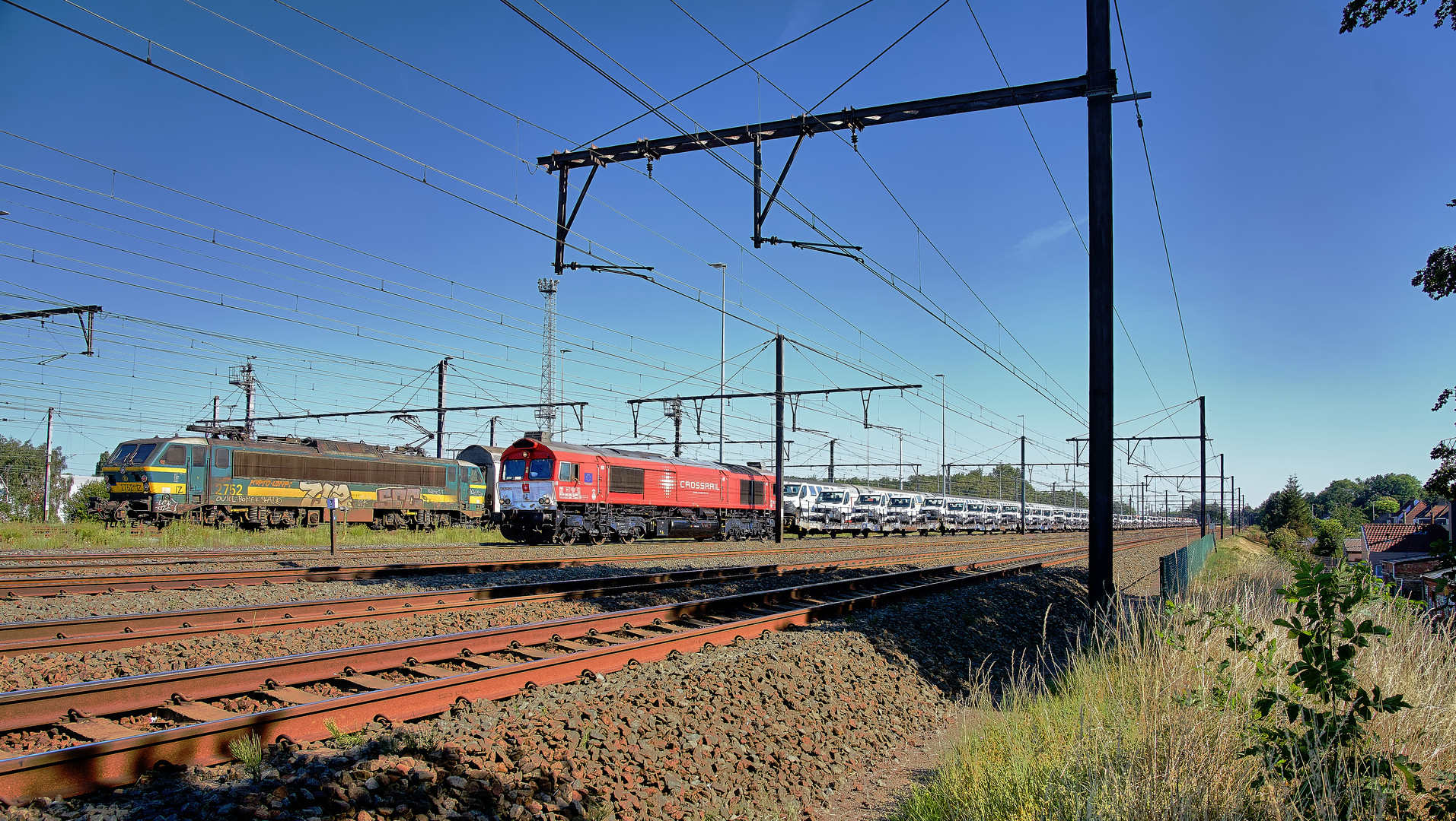 Maknas roter Cargo-Einbaum