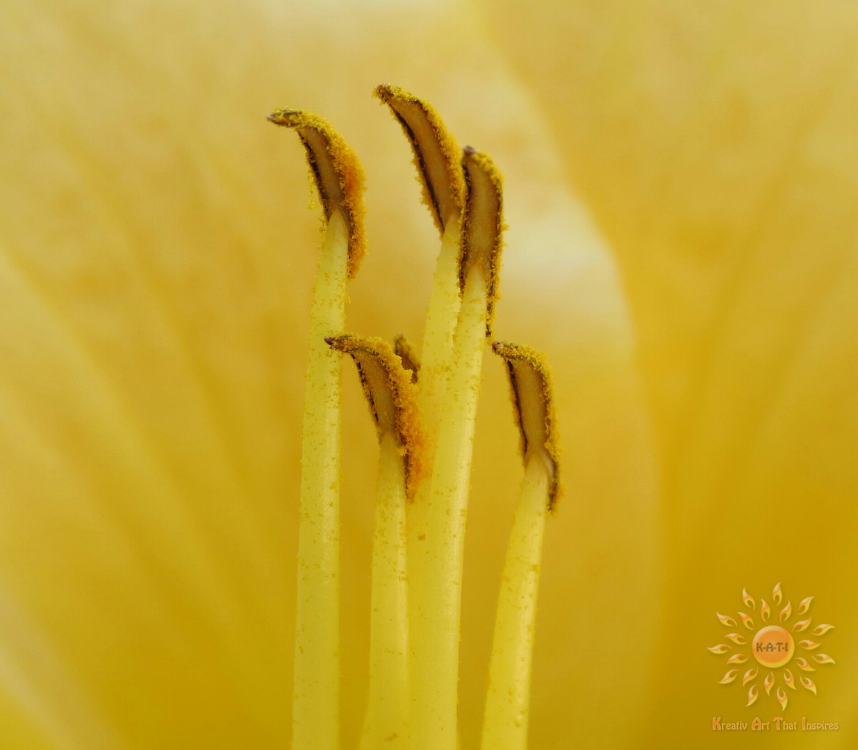 Makro Blüte