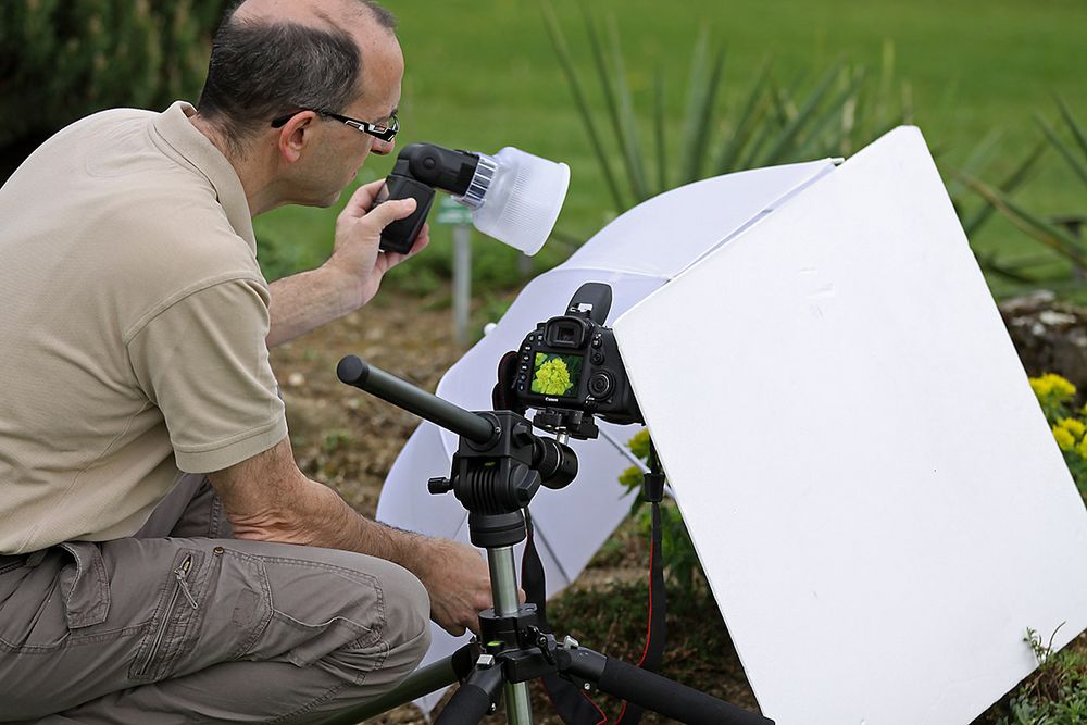 Makro-Fotografie-Aufbau bei Workshop