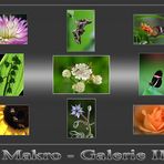 Makro - Galerie II [Seebeben-Hilfe]