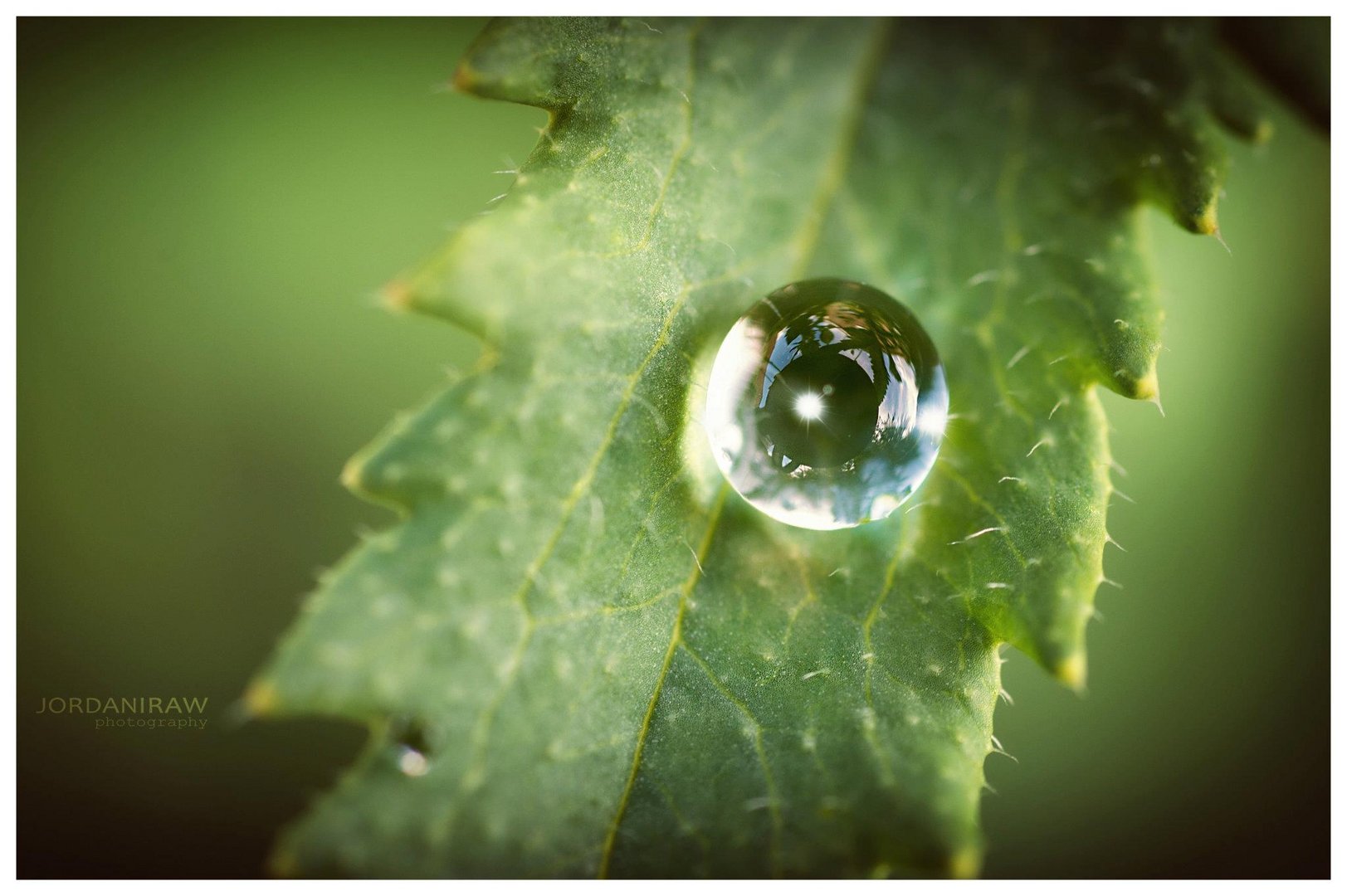 Makro gegen Langeweile