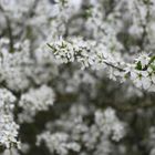 Makro leider bei schlechtem Wetter