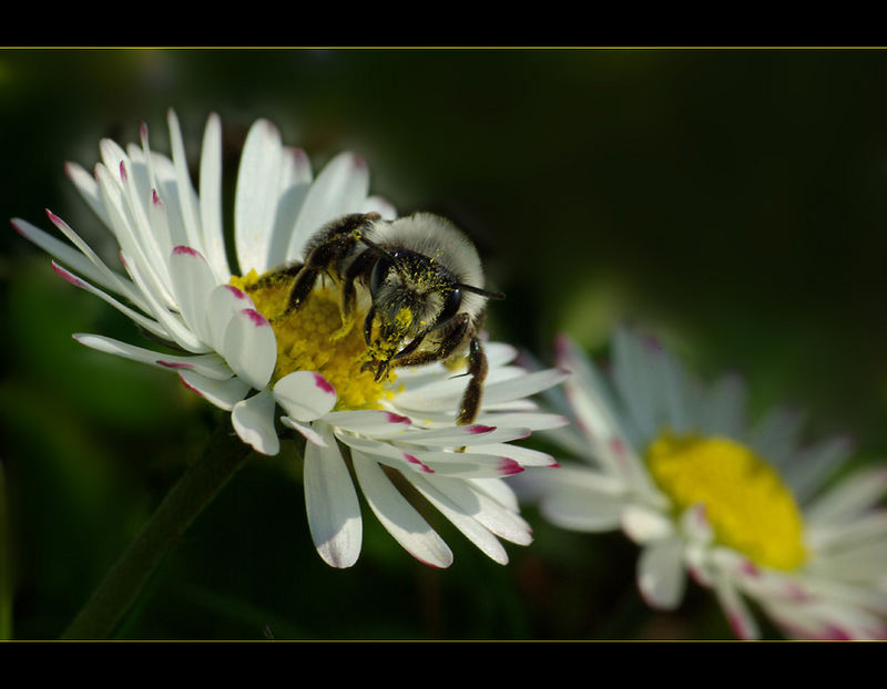 Makro-Saison-Opening