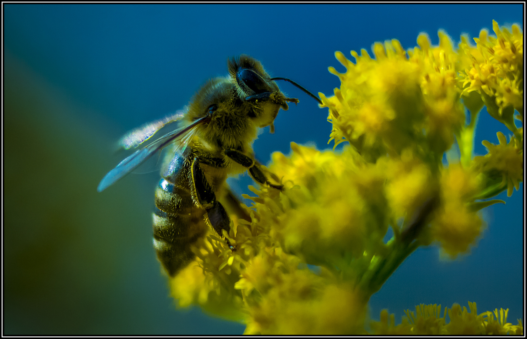 Makro-Versuch 3