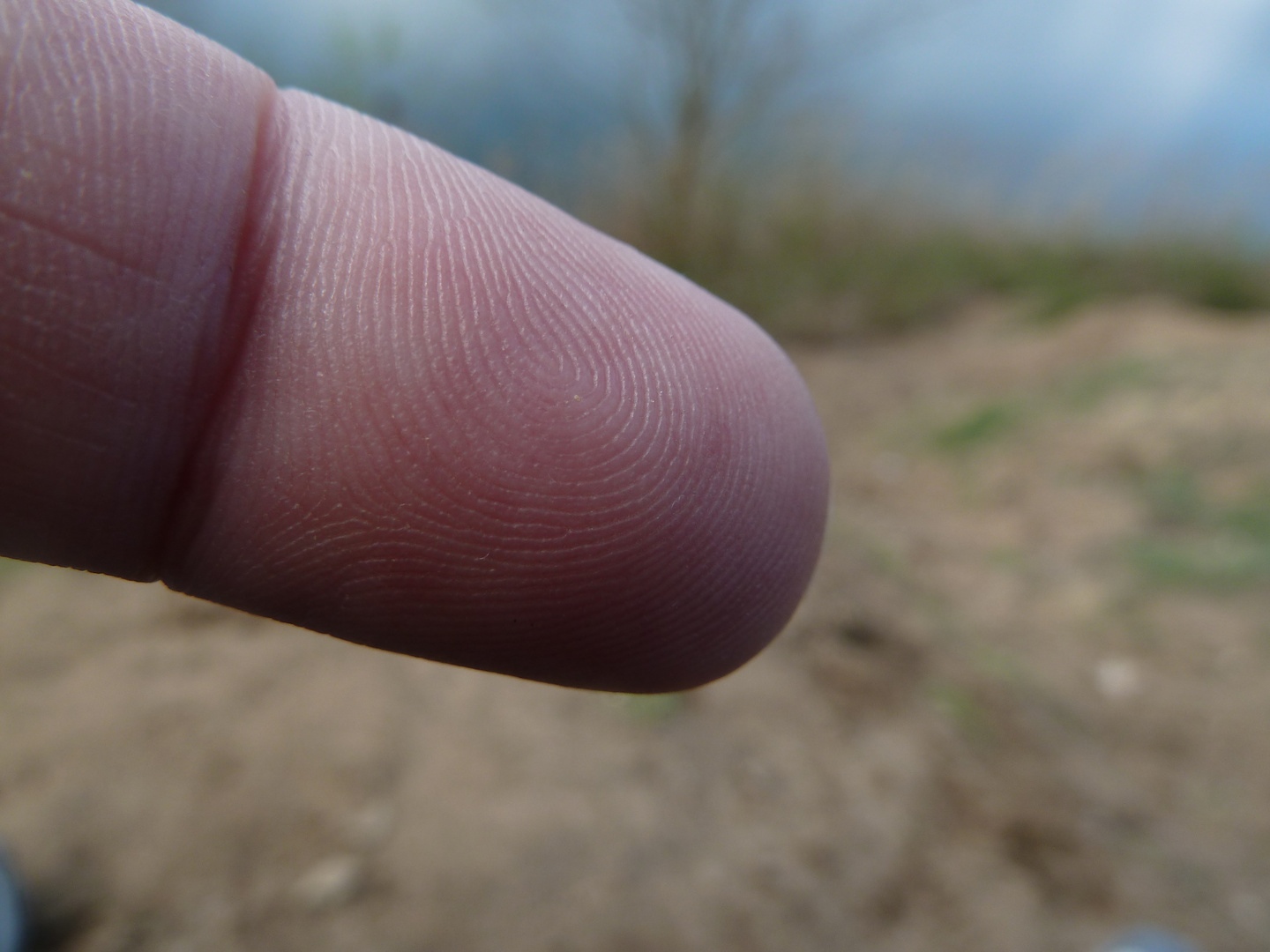 makro von einem über 40 jahre altem finger