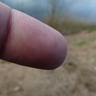 makro von einem über 40 jahre altem finger