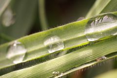 Makro Wassertropfen