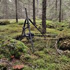 Makroeinsatz in den Wäldern von Schweden