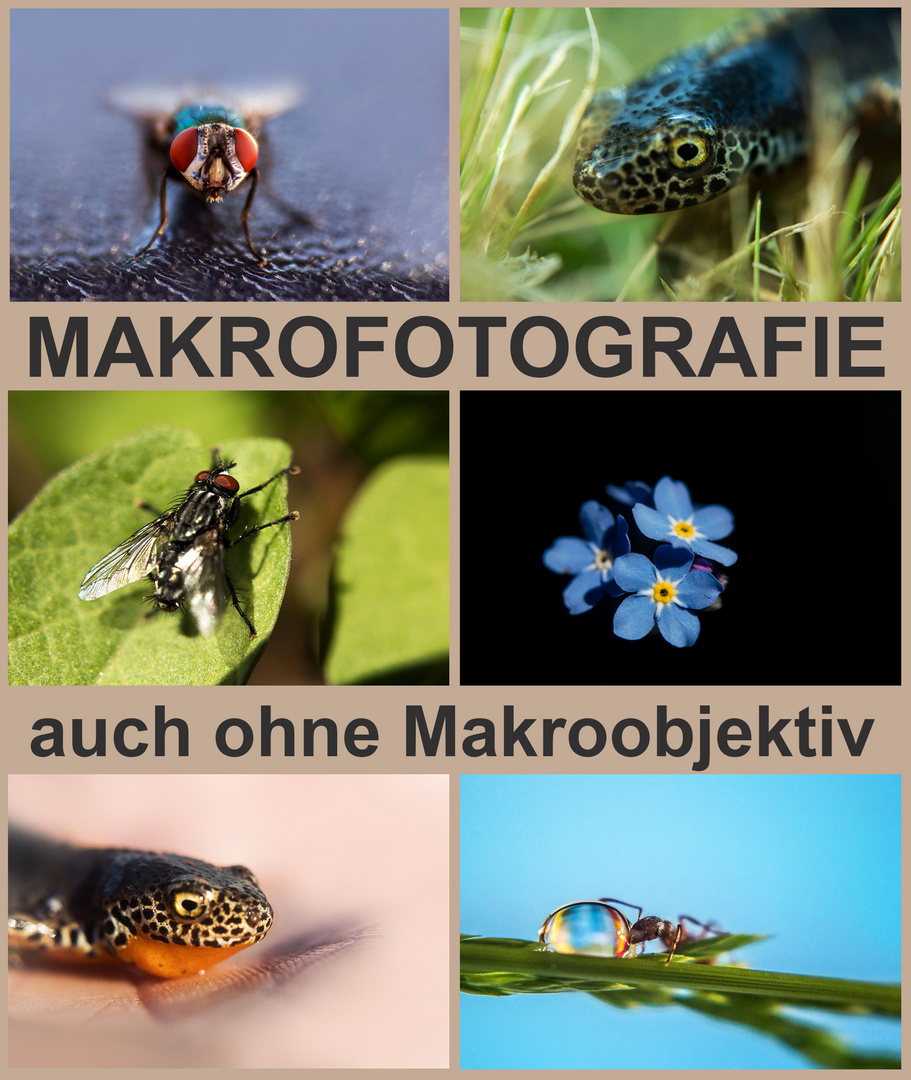 Makrofotografie