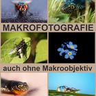 Makrofotografie