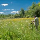 Makrofotografie in der Sommerwiese (Video)