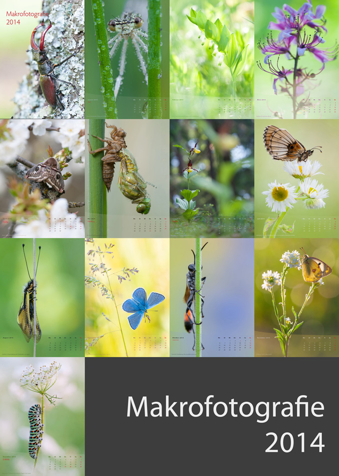 Makrofotografie-Kalender 2014