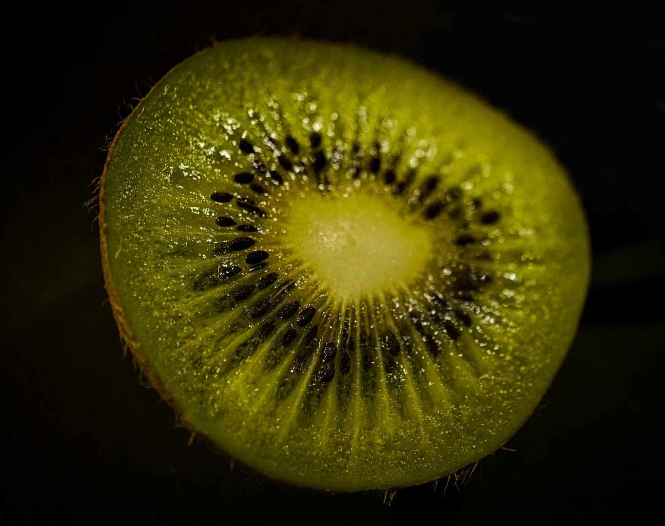 Makro_Kiwi