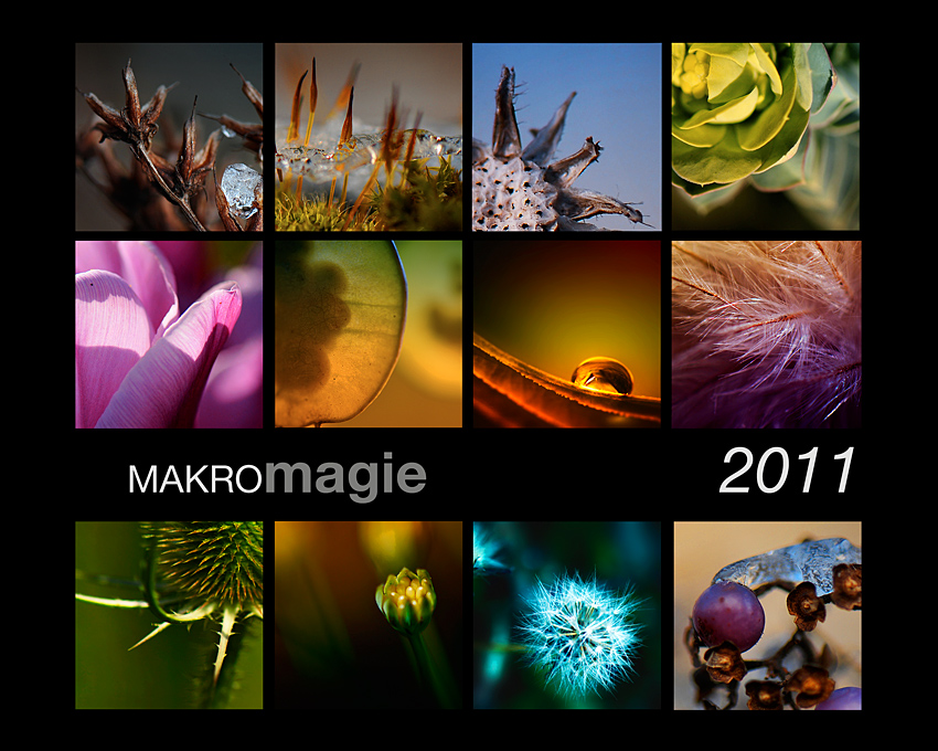 makromagie 2011...