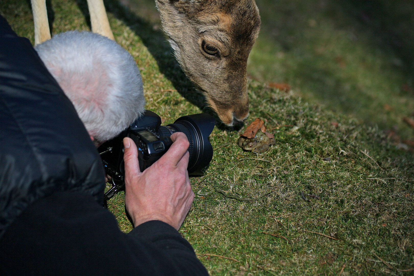 Makroshooting mit Gast