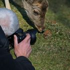 Makroshooting mit Gast