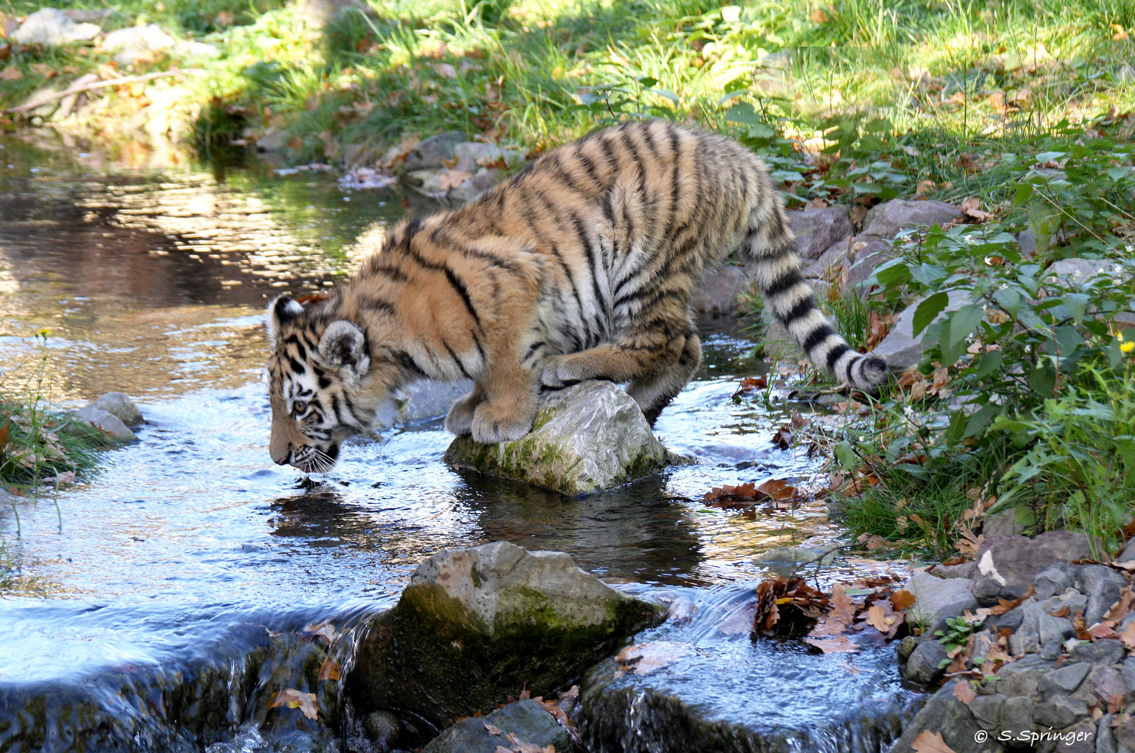 mal das Wasser testen....