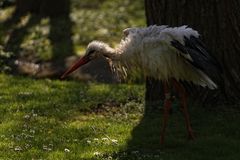 Mal den Kopf zum trocknen in die Sonne halt