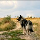 Mal den Wind um die Nase wehen lassen