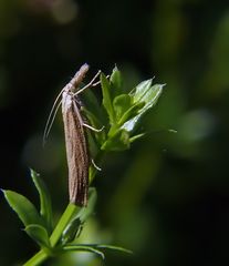 "Mal die Nase in den Wind halten" (:o)