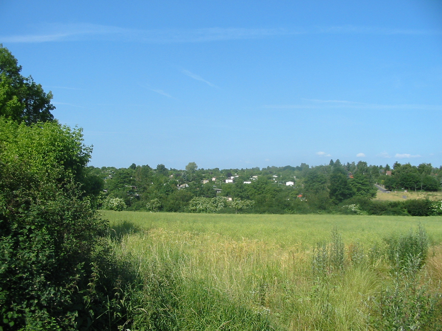 Mal ein schöner Sommertag