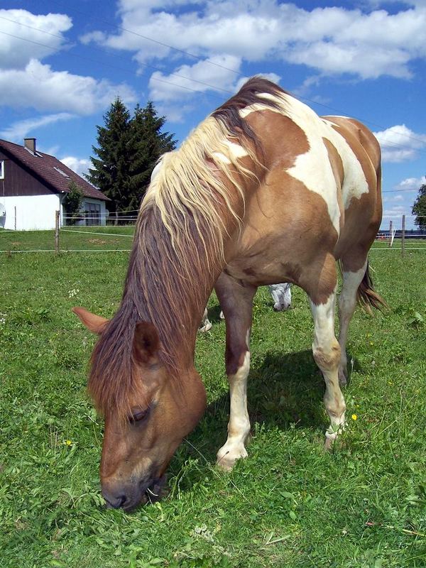 Mal eine andere Perspektive