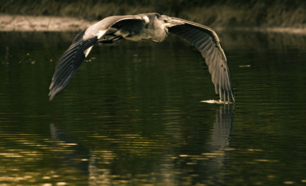 mal eine Runde fliegen 