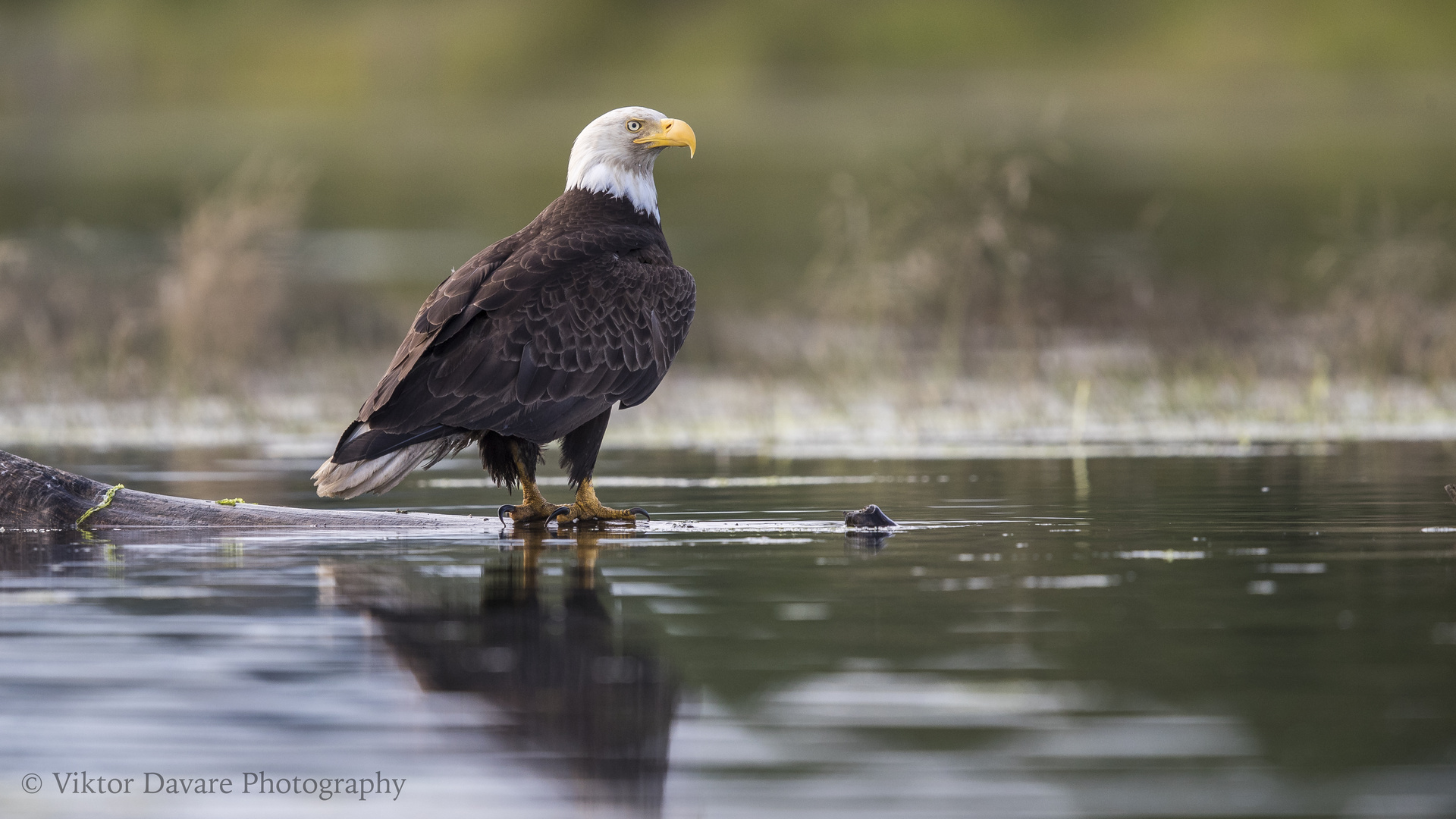 Mal eine Wasser pause 